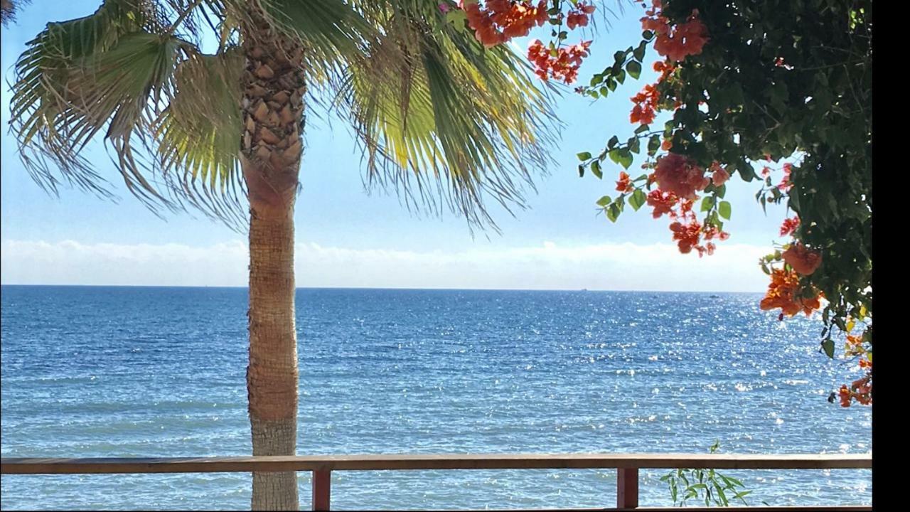 Mi Capricho 170 Beachfront Apartment Sitio de Calahonda Bagian luar foto